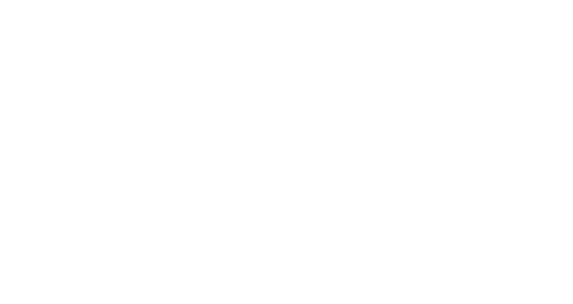 Rhino Rooter