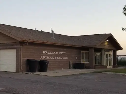 Rhino Rooter provided plumbing service to Brigham City Animal Shelter, shown here at closing time.