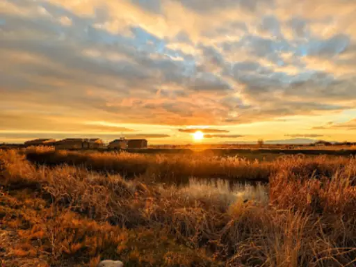 The image shows a clear, peaceful view at sunset, suggesting how Rhino Rooter solves tough plumbing problems with skill and confidence.