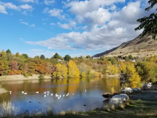 Peaceful lake in autumn with colorful trees and white birds on the water, showing a calm Wasatch Front day.