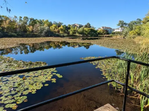 Experience the calm and reliable service of Rhino Rooter, much like a quiet pond in a friendly neighborhood.
