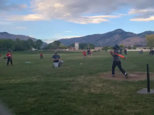 A young baseball player hits a ball during a little league game while their team and coach watch. This shows Rhino Rooter supports youth sports and teamwork.