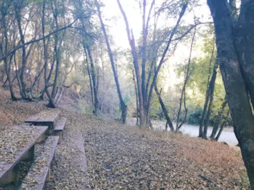 A peaceful spot in the woods by a river, showing where a Rhino Rooter plumber might relax after fixing sewer pipes.