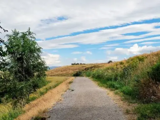 A path shows how Rhino Rooter smoothly solves plumbing challenges, just like guiding customers through drain cleaning and hydro jetting in The Wasatch Front.