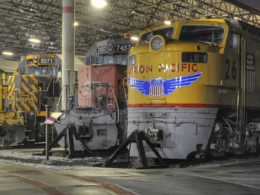 Rhino Rooter shows three old trains displayed inside, highlighting their unique designs and careful setup.