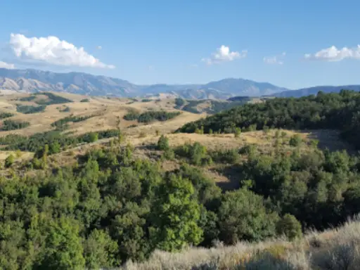 Beautiful landscape along The Wasatch Front, showing an area where Rhino Rooter offers trusted sewer repair and hydro jetting services.
