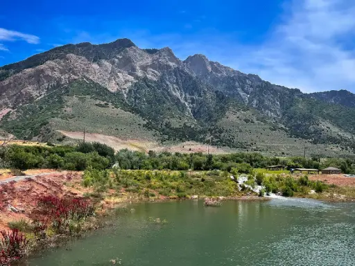 The image shows a clean and healthy pond in nature, showing how Rhino Rooter’s hydro jetting can leave pipes fresh and clear.