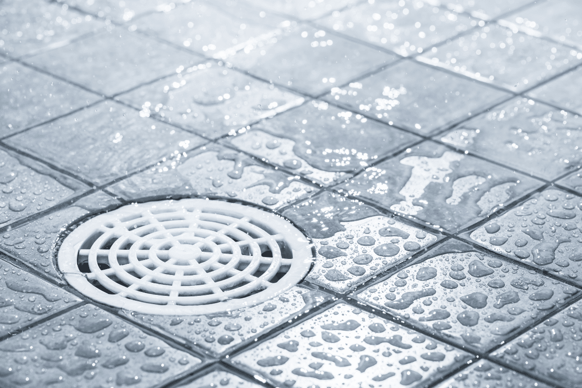 A clean shower drain shows how Rhino Rooter helps prevent clogs and keeps bathroom floors dry.