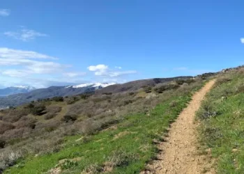 Rhino Rooter shows how trenchless sewer pipe repair creates a smooth path in your yard, like a clear trail across the hills.