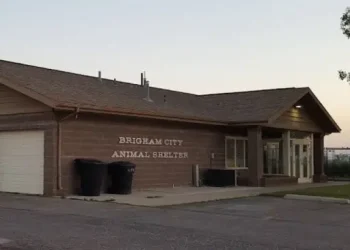 Rhino Rooter provided plumbing service to Brigham City Animal Shelter, shown here at closing time.