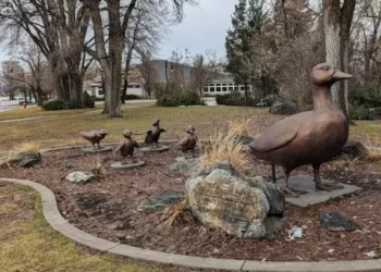 A park displays a bronze duck statue leading ducklings, offering a peaceful spot for Rhino Rooter plumbers to unwind after work.