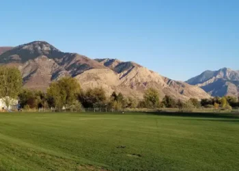 A peaceful, natural setting shows Rhino Rooter’s way of fixing sewer pipes without harming the environment.