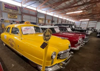 Rhino Rooter shows cars that look new and well cared for, similar to their expert plumbing services in The Wasatch Front.