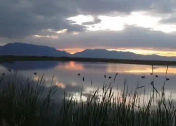 A peaceful lake at sunset shows how Rhino Rooter works with care and skill to solve tough drain problems.