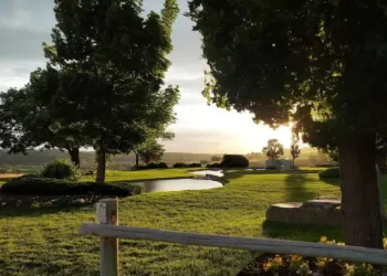 A peaceful park at sunset with a pond, green grass, and a fence like those Rhino Rooter helps keep clean.