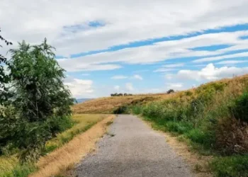 A path shows how Rhino Rooter smoothly solves plumbing challenges, just like guiding customers through drain cleaning and hydro jetting in The Wasatch Front.