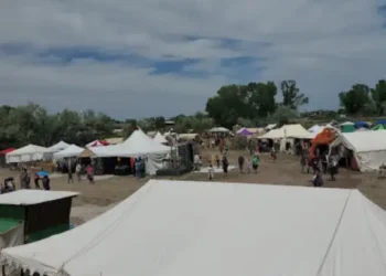 People at an outdoor festival exploring booths, where Rhino Rooter offers help with drain cleaning and pipe repair.